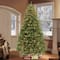 6.5ft. Pre-Lit Douglas Fir Artificial Christmas Tree, Clear Lights
